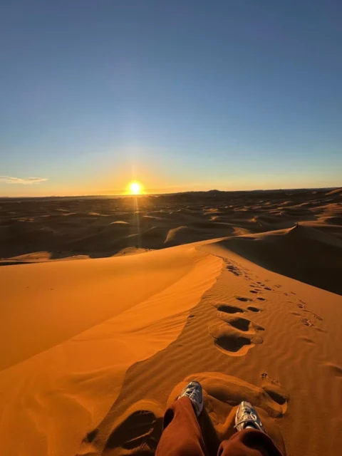sahara